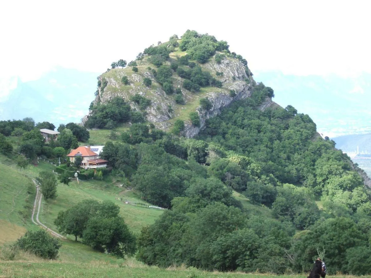 Domaine Du Rocher St-Loup Vif France